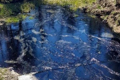 Битум Пресс-служба Байкальской природоохранной прокуратуры