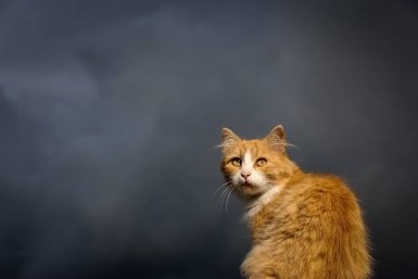 Снег, дожди и до +22°С прогнозируют в Иркутской области на майских Юлия Ушакова, ИА IrkutskMedia