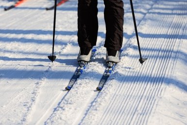 лыжи, Русская лыжня Евгений  Кулешов, ИА PrimaMedia.ru