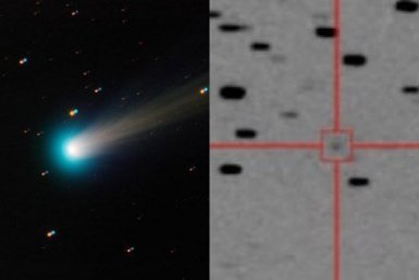 Ученые открыли первую комету 2026 года Тг-канал (18+) &quotИркутский астроном&quot
