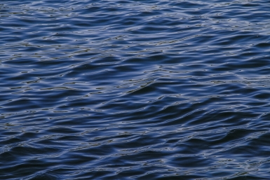 Юрист почти не сомневается: следствие зайдёт в тупик Юлия Ушакова, ИА IrkutskMedia