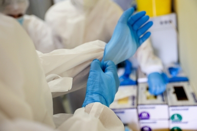 Индию атакует вирус-убийца Илья Аверьянов, ИА PrimaMedia