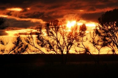 Планету ждет климатический переворот Антон Балашов