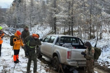 В деле Усольцевых новый поворот Лиза Алерт