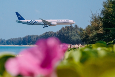 Доллар обвалился, туры подешевели: туристам советуют срочно бронировать отпуск Мария Смитюк, ИА PrimaMedia