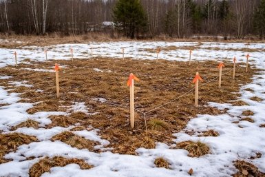 Земельный участок Сгенерировано