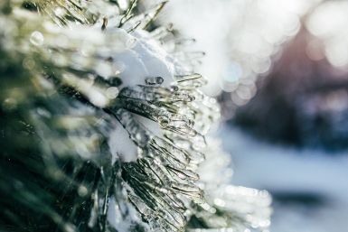 Дачникам посоветовали не избавляться от снега на участке Мария Смитюк, ИА PrimaMedia