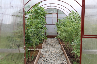 Теплица ИА EAOMedia, Письменова Ксения