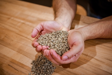 Кофе Илья Аверьянов, ИА PrimaMedia