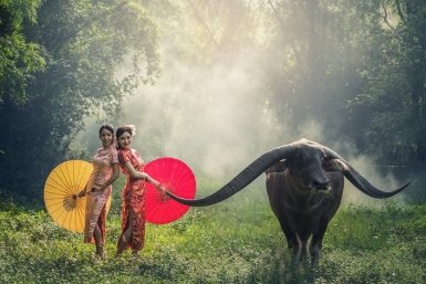 Вьетнам по-прежнему не доверяет США Photo by form PxHere