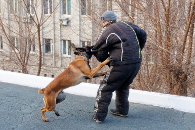 Гуфсин, задержание, собака Евгений  Кулешов, ИА PrimaMedia.ru