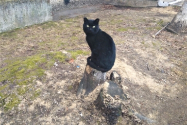 Тематическое фото ИА EAOMedia