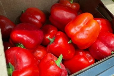 Перцы ИА StolicaMedia