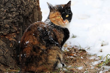 Метеопрогноз Мария Оленникова, IrkutskMedia