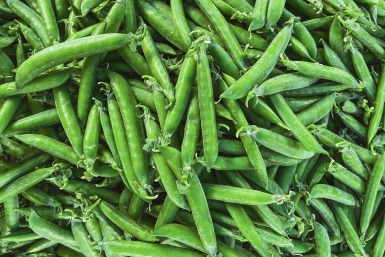 Так горох подкармливал еще мой прадед — это средство лучше всяких удобрений