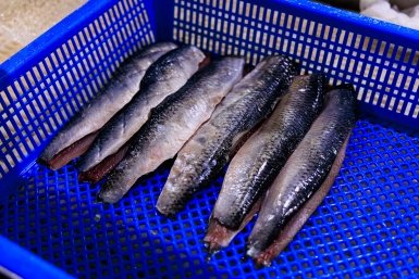 В России подешевела рыба Евгений  Кулешов, ИА PrimaMedia.ru