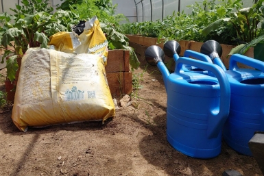 Мощнее навоза: кидаю на снежные грядки в конце зимы — весной почва мягче бархата