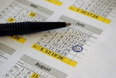 Садим рассаду по Лунному календарю в феврале. Будет расти не по дням, а по минутам