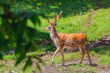 &quotЗаповедный паспорт&quot позволит россиянам посещать заповедники и национальные парки Мария Смитюк, ИА PrimaMedia