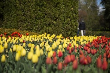 В Центральной России весна будет ранней Артём Хорошилов  , ИА Stavropol.Media