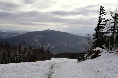 Тайга Юрий Гуршал, ИА SakhalinMediа