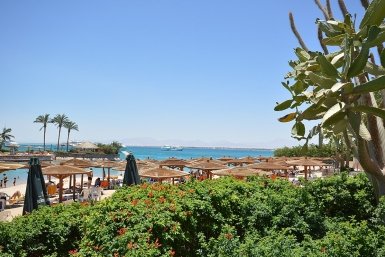 Вместо Эмиратов россияне могут поехать в Египет или Турцию Hassan Gaafar, wikipedia.org