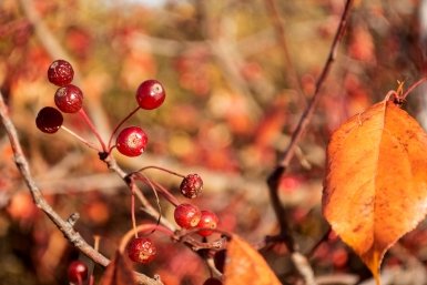 Теплую погоду подарят предстоящие выходные в Ангарске