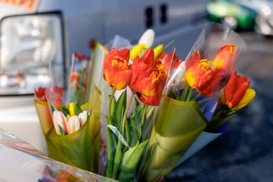 8 Марта Евгений Кулешов, ИА PrimaMedia