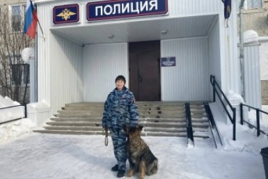 Служебный пес выследил похитителя камеры видеонаблюдения в Усть-Илимске Пресс-служба ГУ МВД РФ по региону