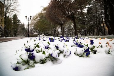 В Москве ожидается падение температуры Артём Хорошилов  , ИА Stavropol.Media