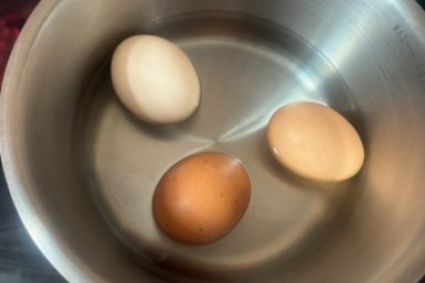 Тематическое фото ИА StolicaMedia