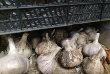 Тематическое фото ИА KrasnodarMedia