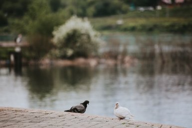 До +5°C ожидается в Ангарске на предстоящих выходных