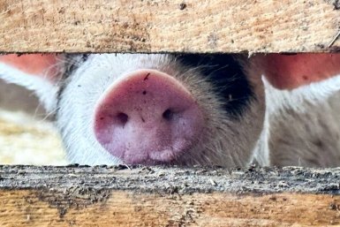 Тематическое фото Анастасия  Москалева, ИА ChitaMedia.su