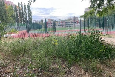 Нарушителей за сорняки штрафуют пресс-служба правительства Ростовской области