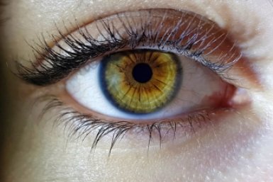 Радужка вместо паспорта: как будет работать новая биометрия freepik.com