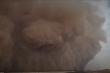 Находиться на улице стало попросту опасно Скриншот с видео