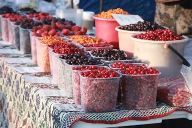 Ярмарка, ягода, продажа, торговля, продукты ИА ChitaMedia