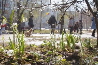 Синоптики рассказали, какую погоду ждать на предстоящей неделе в Иркутской области