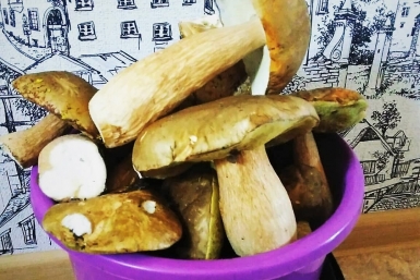 Не стоит собирать грибы, определение которых вызывает сложность ИА EAOMedia