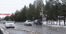 Слякоть на дорогах Баграновская Наталья, ИА EAOmedia