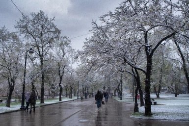 Мокрый снег и сильный ветер ожидаются в Иркутской области 25 марта