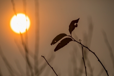 Новость дня