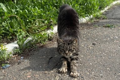 25 марта в Москве ожидается апрельская погода Кудрявцева М. П., ИА UssurMedia.ru