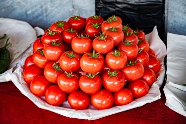 Ученые научились ускоренно выращивать томаты Илья Табаченко, ИА PrimaMedia.ru