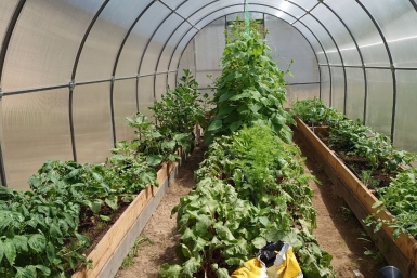 Россиянам объяснили, как не попасть в ловушку при покупке дачи ИА EAOMedia