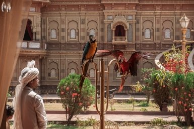 Комедия ТНТ (16+)