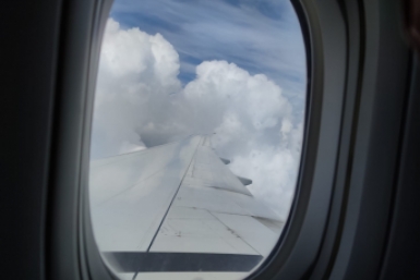 Самолет ИА Stavropol.Media, Елена Гиневская