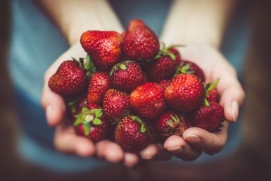 Клубника прет так, что не успеваю собирать: кусты ломятся от ягоды после этого раствора pxhere.com