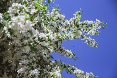 Метеорологи дали прогноз с сюрпризами на второй месяц весны Владислав Беляцкий, ИА SakhalinMedia